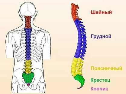 Таблица последствий смещения позвонков и дисков